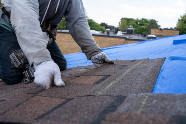 Best New Roof Installation  in Genoa, OH