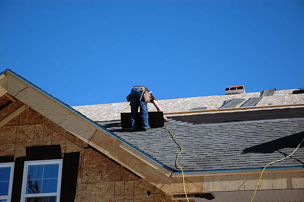 Best Gutter Installation and Roofing  in Genoa, OH