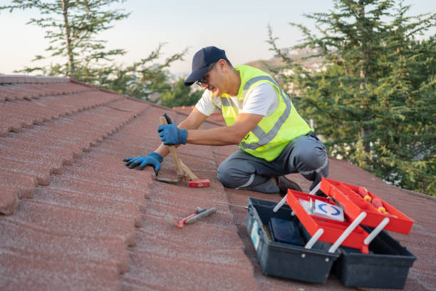 Best Commercial Roofing Services  in Genoa, OH